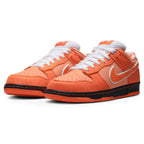 Nike SB Dunk Low Concepts Orange Lobster FD8776-800 - vista frontal lateral